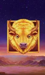 Buffalo's Sun 2